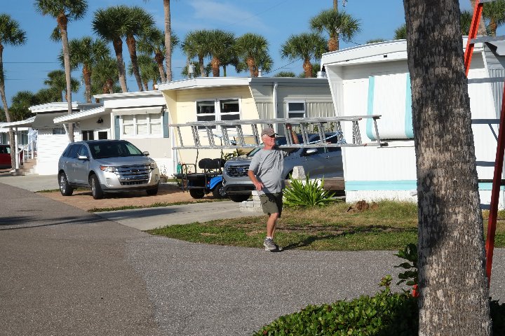 2023 Christmas Decorating at Gulf to Bay - Slide 3