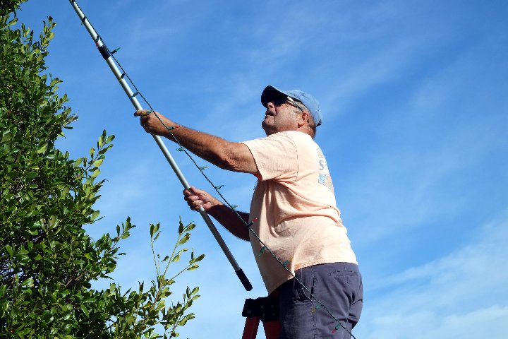 2023 Christmas Decorating at Gulf to Bay - Slide 4