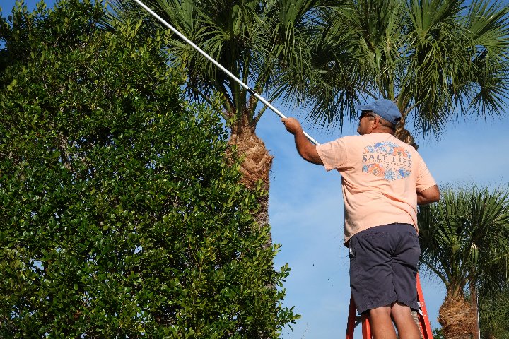 2023 Christmas Decorating at Gulf to Bay - Slide 13