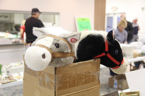 Gulf to Bay 2015 Carnival <br> Photos by  Jim Ackert - Slide 14