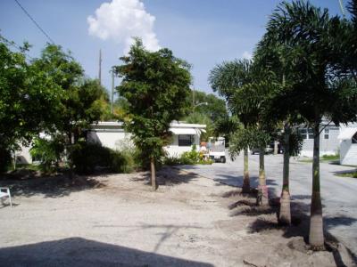 Patio Progress August, 2004  Photos by Greg Wheeler - Slide 23