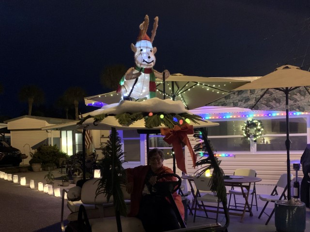 Christmas Eve 2020<br>Photos by Dan McLean - Slide 6